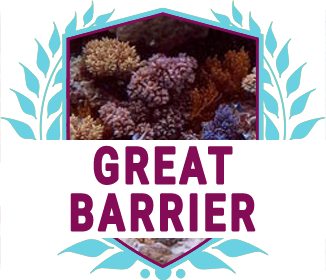 Great Barrier Tour